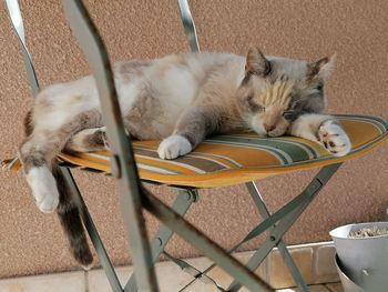 High angle view of cat sleeping on chair