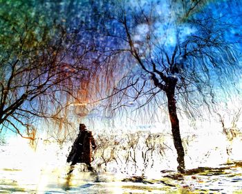 Reflection of bare trees in water