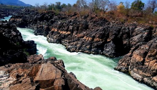 Scenic view of trees against sky