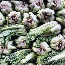 Full frame shot of bok choys for sale at market