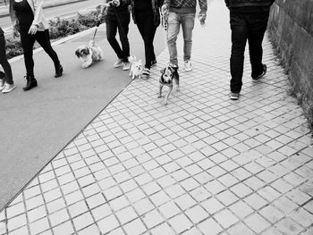 Low section of people standing on tiled floor