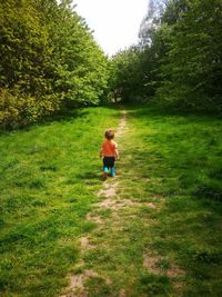 Rear view of boy walking on trail amidst grassy field