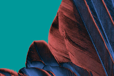 Close-up of feathers against blue background