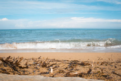 Waves-landscape-sea-beach-sky-clouds