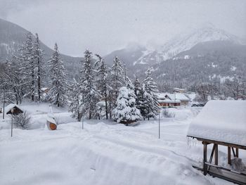 Trees on snow covered land against mountains