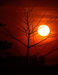 Low angle view of silhouette tree against orange sky