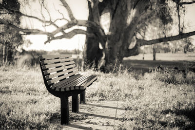 Empty bench in park