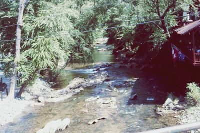 River flowing through rocks