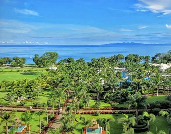 High angle view of palm trees by sea