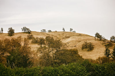 Scenic view of land against sky