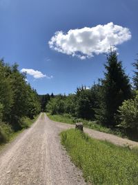 Dirt road along plants and trees against sky