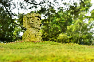 Close-up of statue against trees