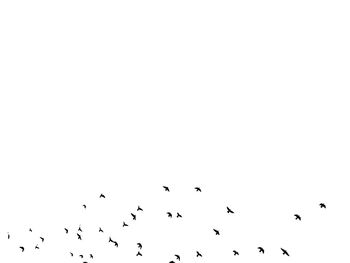 Low angle view of birds flying in sky