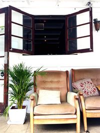 Potted plants in balcony