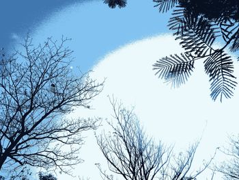 Low angle view of silhouette tree against clear sky