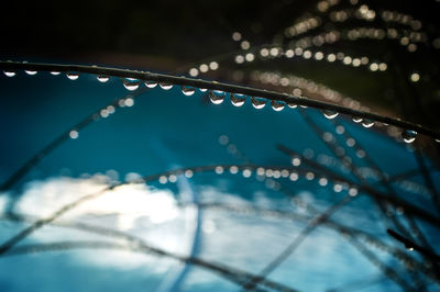 Close-up of water drops on leaf