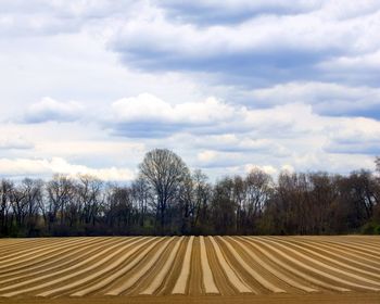 Scenic view of field against sky