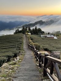 Scenic view of agricultural field against sky during sunset