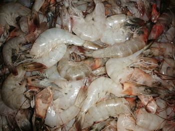High angle view of fishes for sale in market