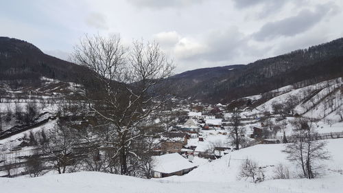 Snow covered trees and houses against sky