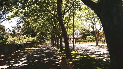 Scenic view of trees against sky