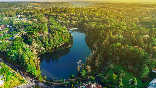 High angle view of river amidst trees in city