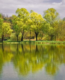 Scenic view of lake by trees against sky