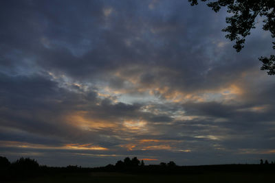 Silhouette trees on field against sky at sunset