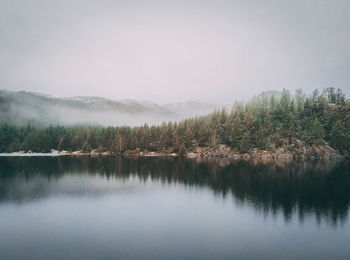 Scenic view of lake by trees against sky