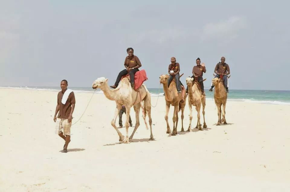 animal themes, beach, domestic animals, sand, mammal, full length, sea, lifestyles, men, horse, leisure activity, sky, togetherness, standing, camel, riding, water, vacations, two animals