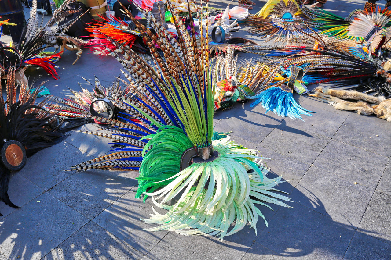 HIGH ANGLE VIEW OF MULTI COLORED FEATHER ON A STREET