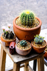 High angle view of potted plants on table