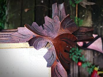 Close-up of dry leaves on wood