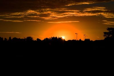 Silhouette of trees at sunset