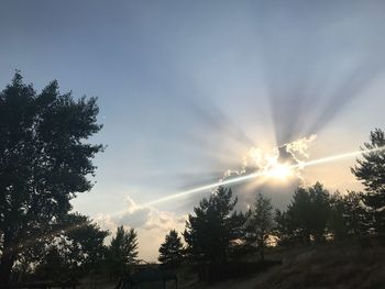 Low angle view of silhouette trees against sky during sunset