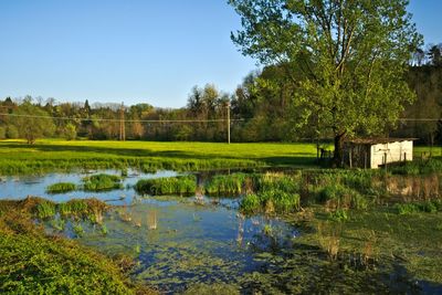 Scenic view of landscape against clear sky