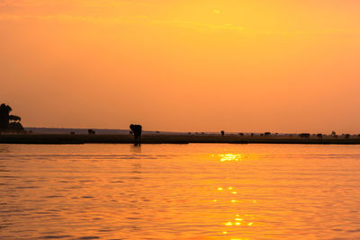 Silhouette person standing in sea against orange sky