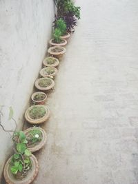 Close-up high angle view of plants