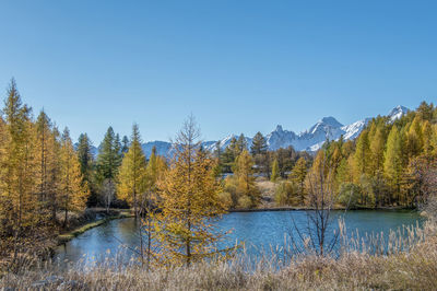 Scenic view of lake against clear blue sky