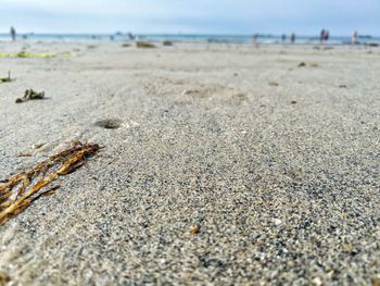 Surface level of sandy beach