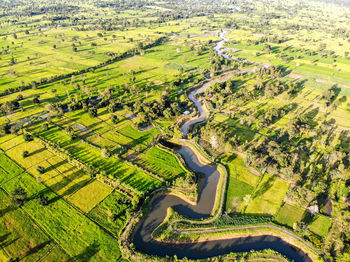 Aerial view of agricultural field