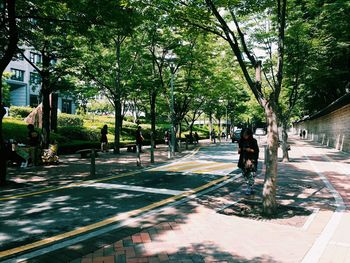 Road passing through city