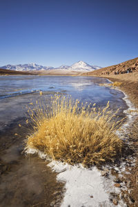 Highland lagoons next to geysers of "el tatio" at sunrise