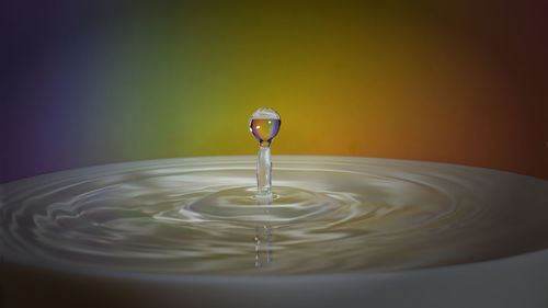 Close-up of water drop