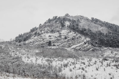 Scenic view of landscape against clear sky