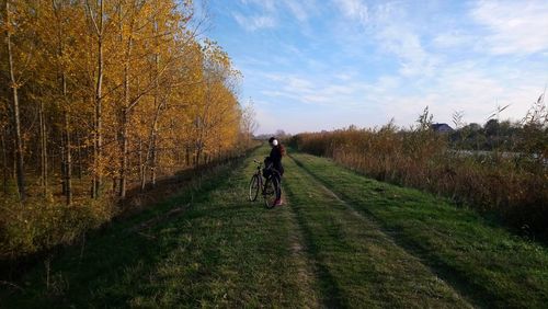 Rear view of person riding bicycle on field during autumn