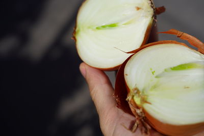 Close-up of hand holding apple