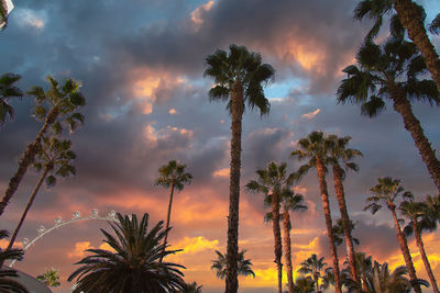 tropical climate
