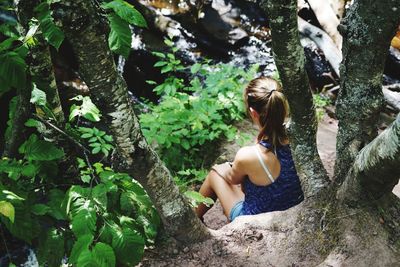 High angle view of woman sitting by tree in forest