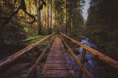 Wooden footbridge amidst trees in forest